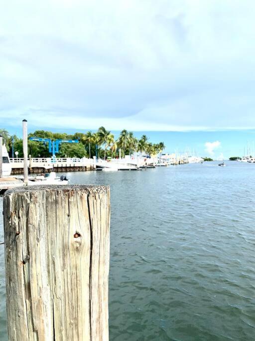 Groveo4 10 Min From The Beach Miami Esterno foto
